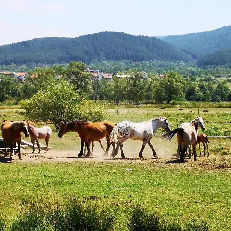 Манастира Apartament Bansko
